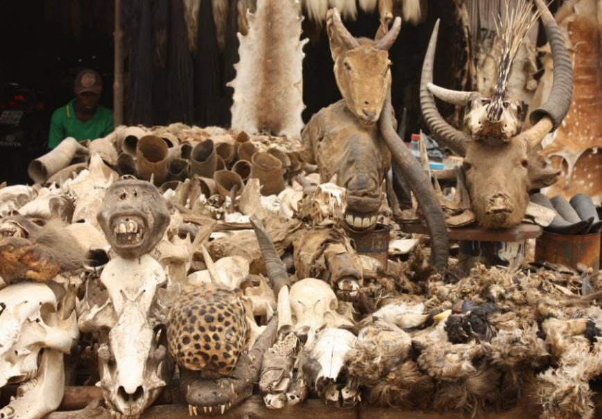 Akodésséwa Fetish Market, Lomé, Togo